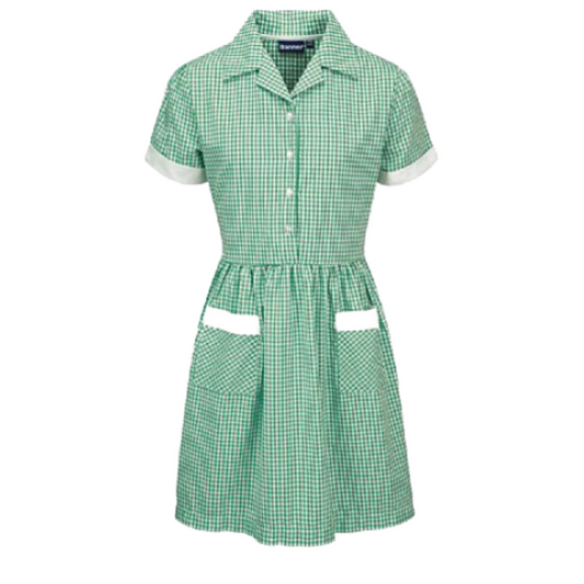 Green and White Gingham Tie belt Summer Dress