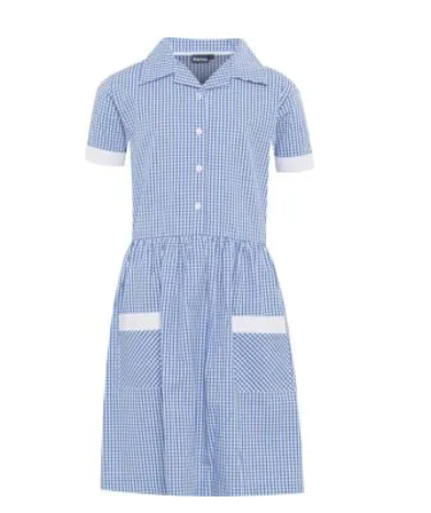 Royal and White Gingham Tie belt Ayr Summer Dress