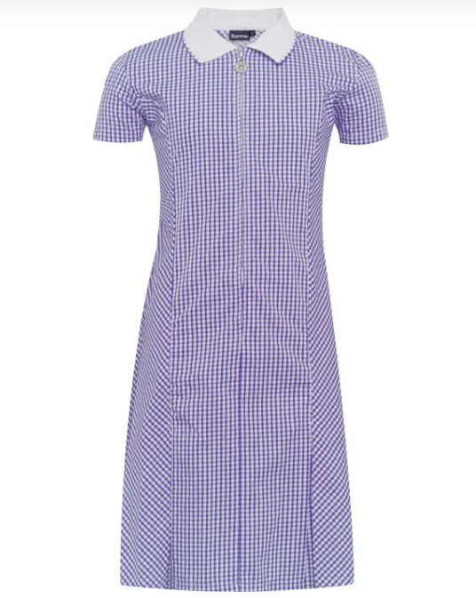Purple and White Gingham Summer Dress