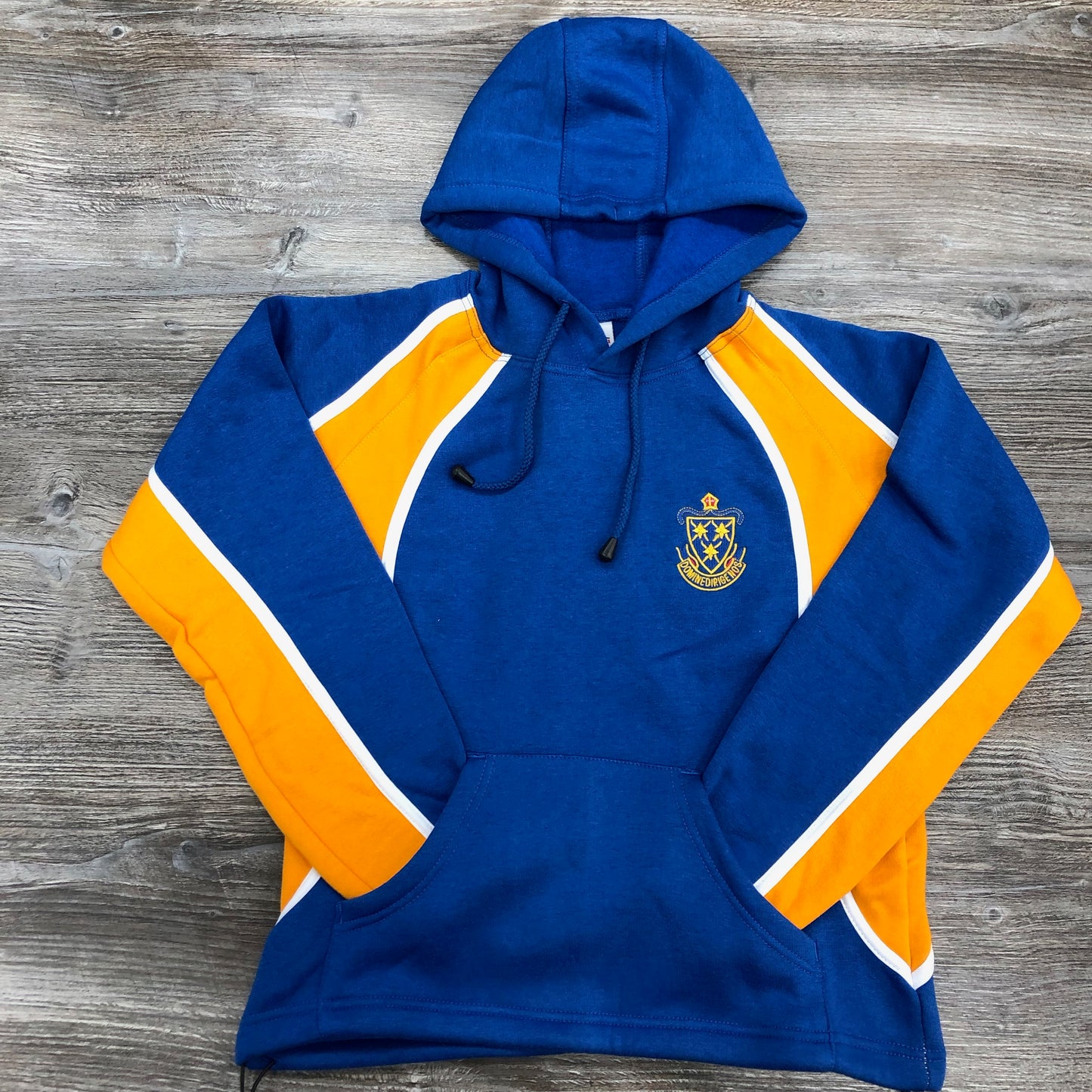 St Wilfrid’s C of E Academy PE Hoody