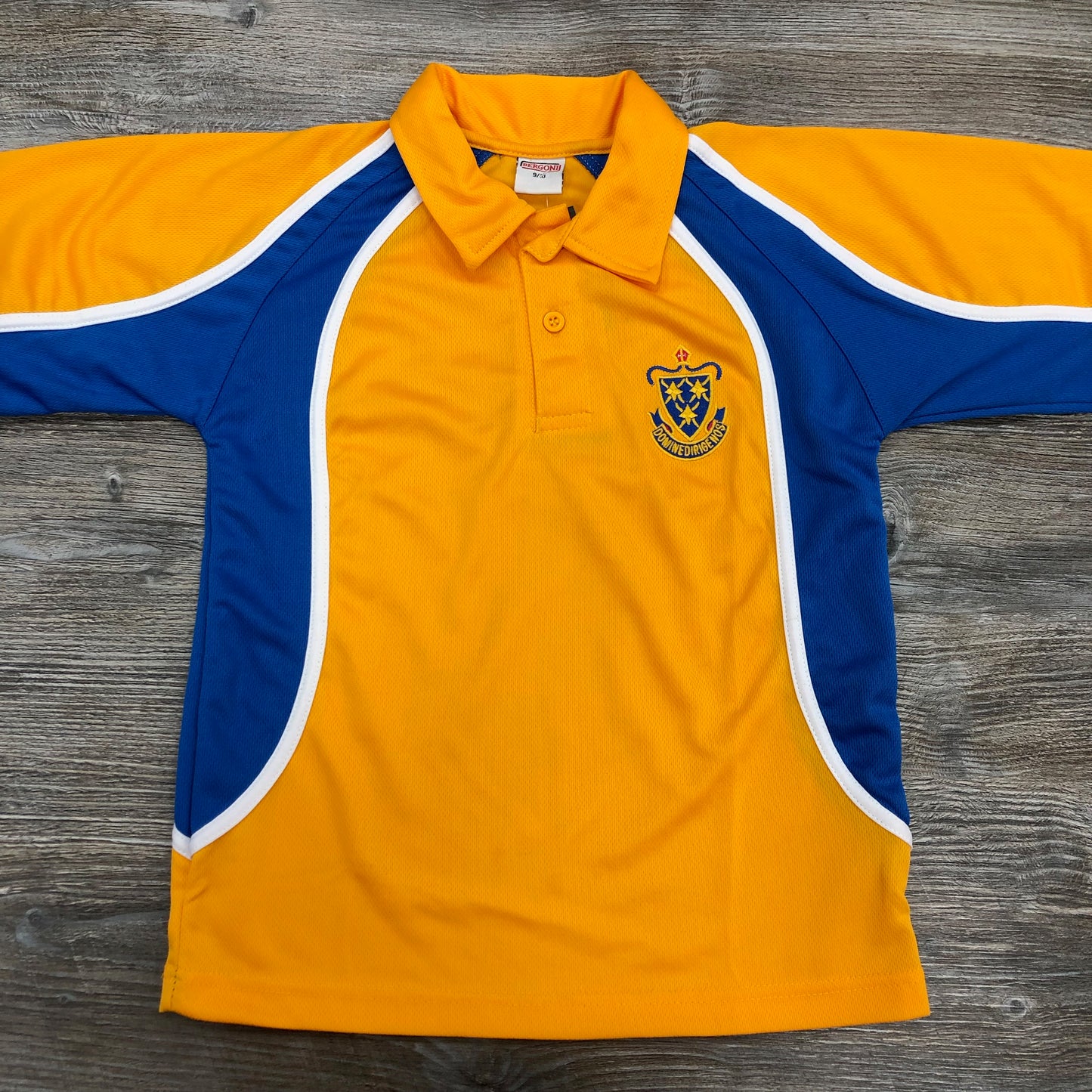 St Wilfrid’s C of E Academy PE Polo