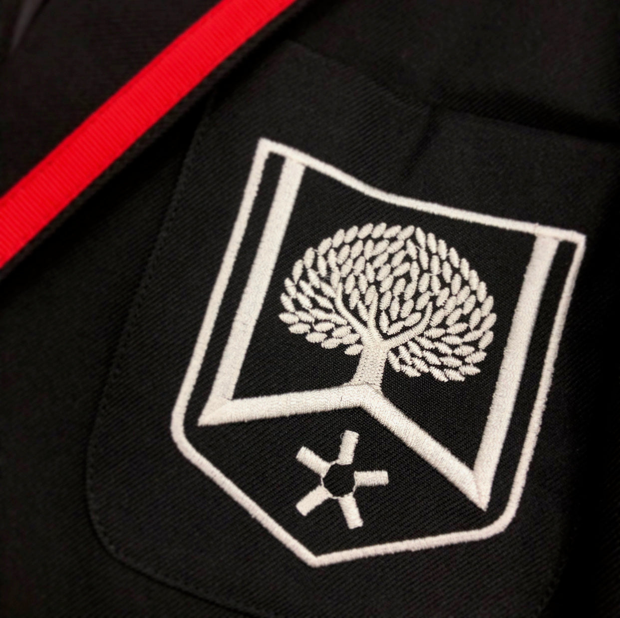 Witton Park Academy Girls Blazer Red Trim