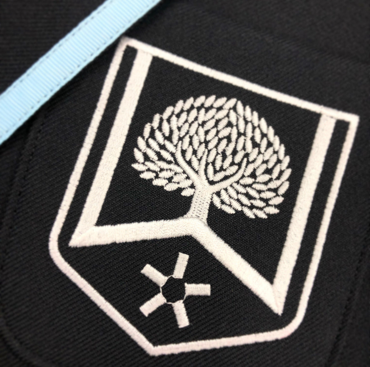 Witton Park Academy Girls Blazer Sky Trim