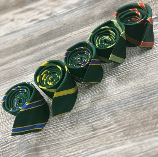 Ribblesdale High School House Ties