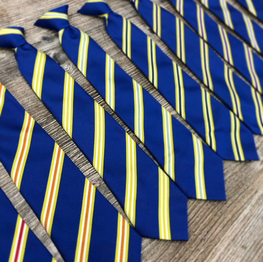 Blessed Trinity College House Ties