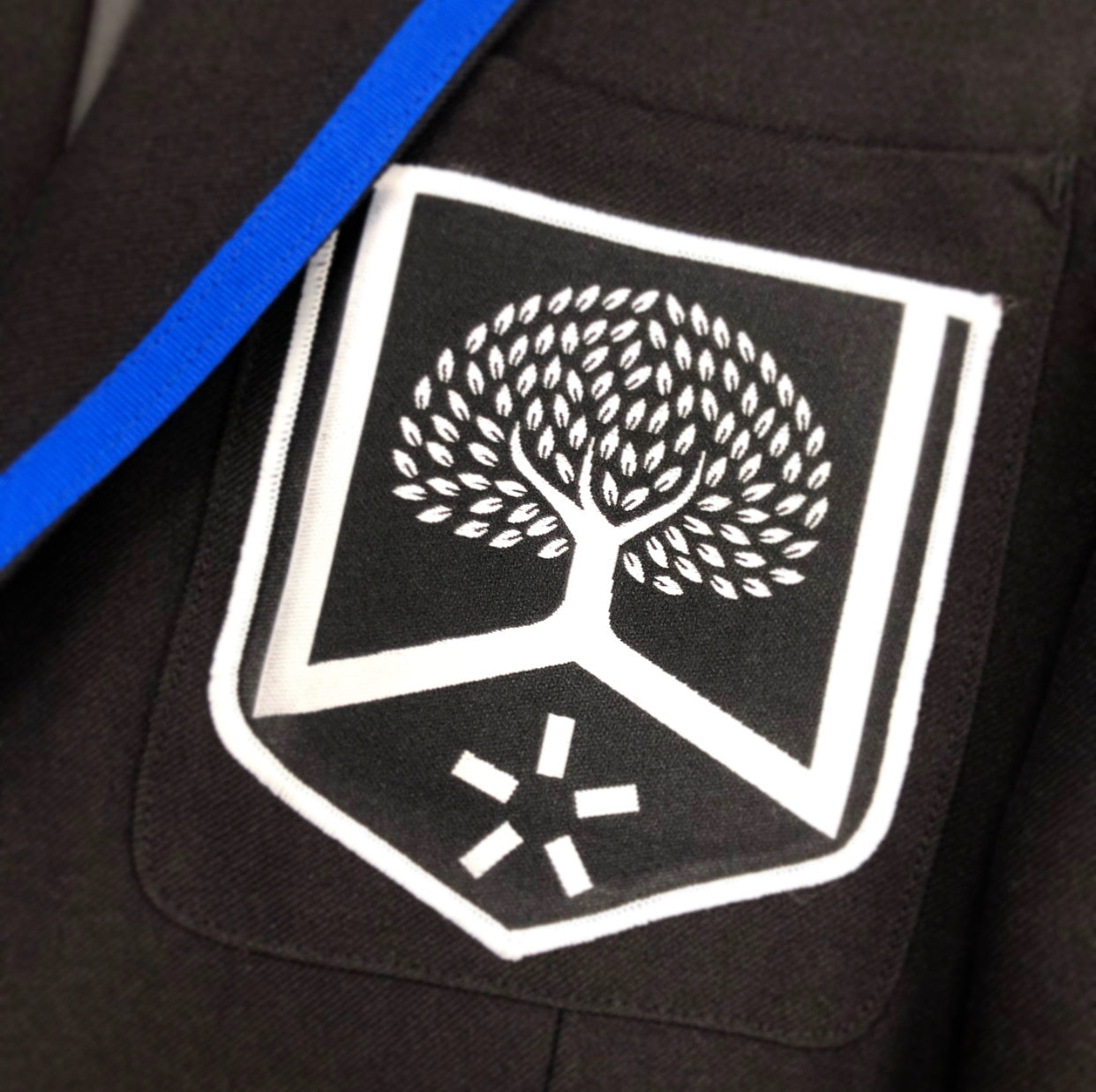 Witton Park Academy Girls Blazer Royal Trim