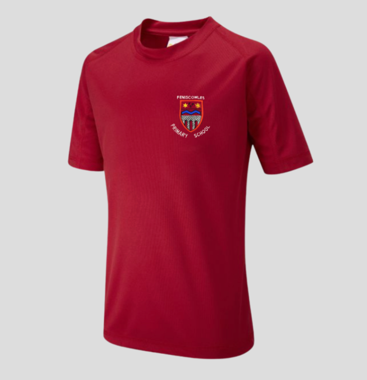 Feniscowles Primary School Red badged PE T shirt