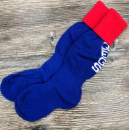 DISCONTINUED - QEGS PE Socks