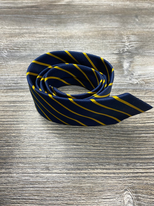 Edisford Primary School Year 6 Tie